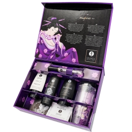 Подарочный набор Shunga Naughter Kit