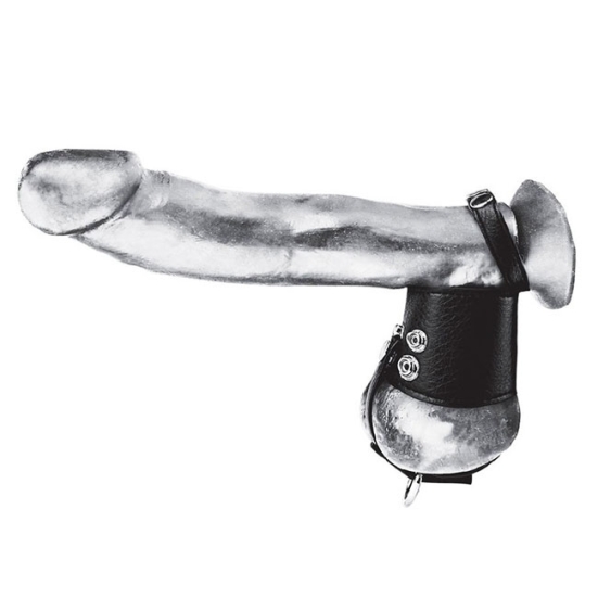 Ремешок для пениса и мошонки BlueLine